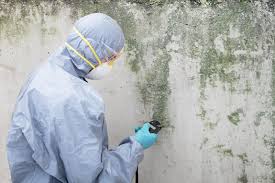 Best Mold Documentation for Insurance Claims  in Stanberry, MO